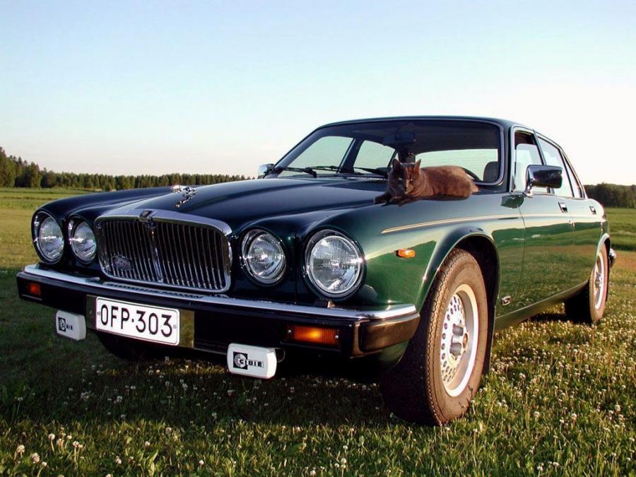  Jaguar XJ (Series III) 1979 года  (EU) (фото 2 из 12)